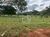 Fazenda, 2121770 hectares - Foto 4