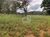 Fazenda, 2121770 hectares - Foto 2