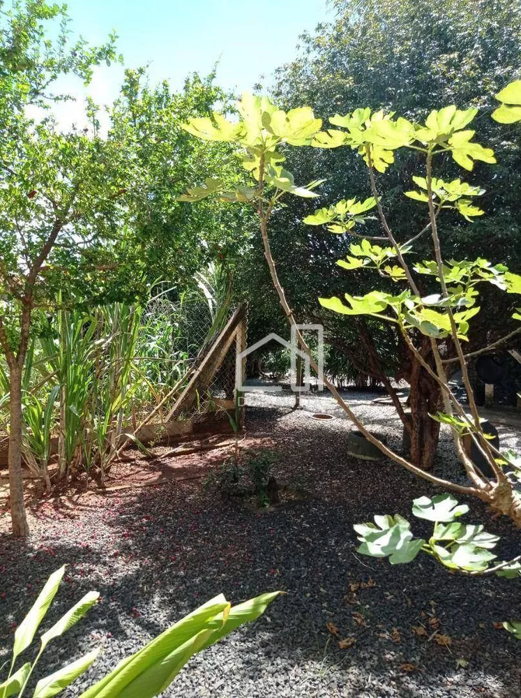 Chácara, 4 quartos, 1000 m² - Foto 8