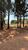 Terreno, 1000 m² - Foto 3