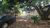 Terreno, 505 m² - Foto 5
