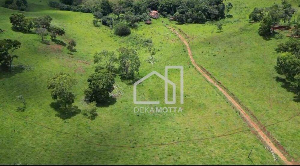 Sítio, 14 hectares - Foto 4