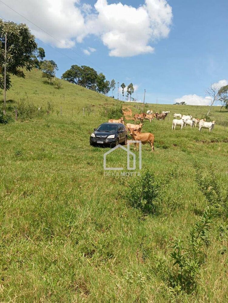 Sítio, 14 hectares - Foto 1