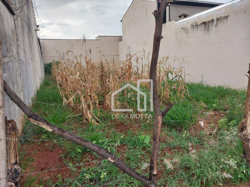Terreno, 250 m² - Foto 2