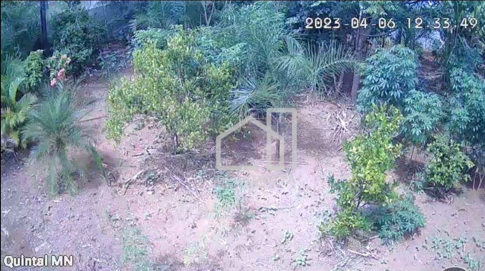 Chácara à venda com 4 quartos, 200m² - Foto 4