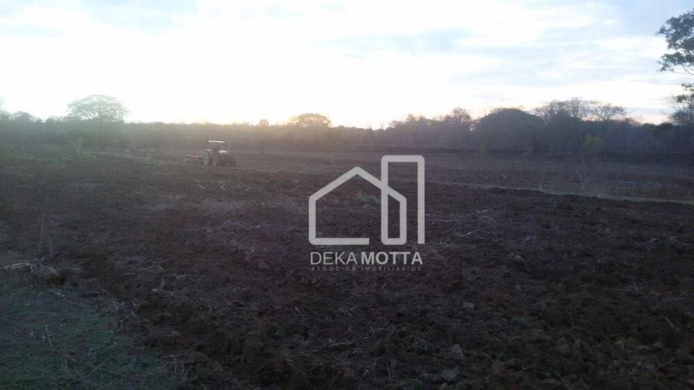 Fazenda à venda com 4 quartos, 3850000M2 - Foto 3