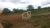 Fazenda-Sítio-Chácara, 385 hectares - Foto 4