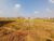 Terreno, 250 m² - Foto 2