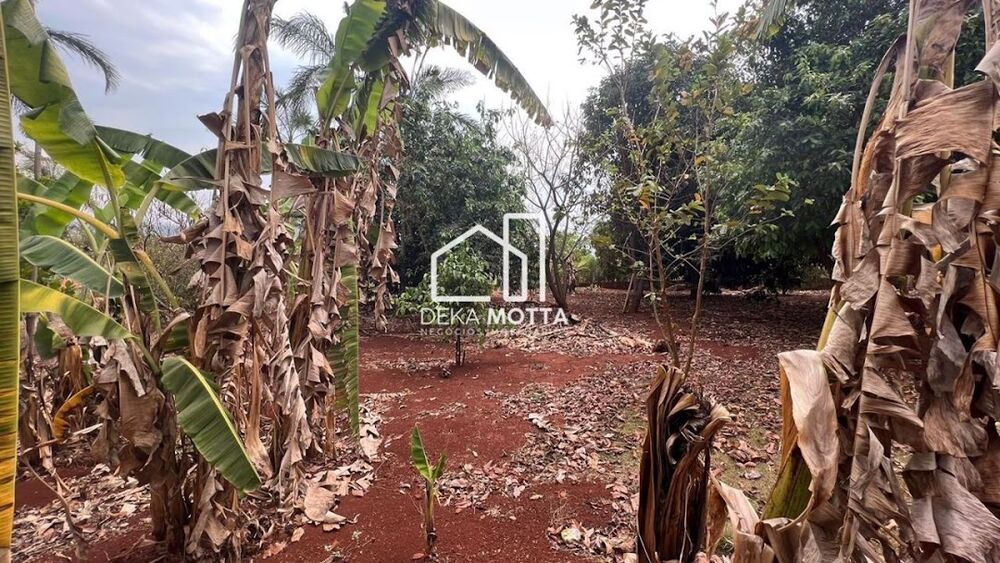 Chácara à venda com 1 quarto, 5000M2 - Foto 4