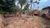 Chácara, 1 quarto, 5000 m² - Foto 3