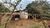 Chácara, 1 quarto, 5000 m² - Foto 6