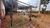 Chácara, 1 quarto, 5000 m² - Foto 15
