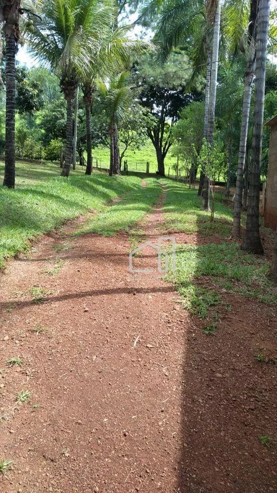 Fazenda, 25 hectares - Foto 20