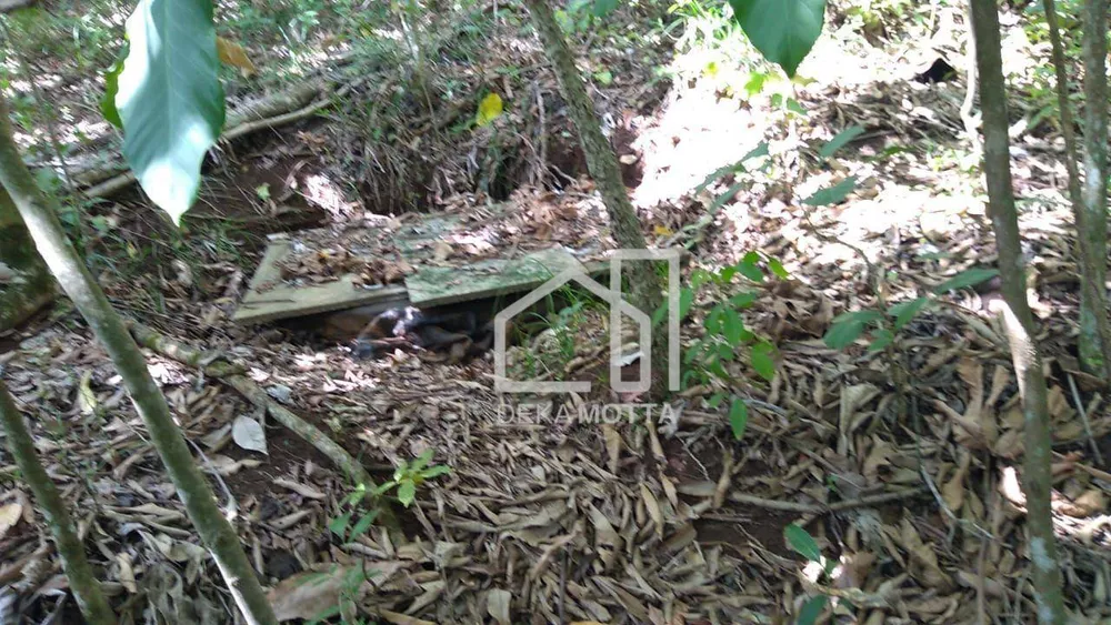 Fazenda, 25 hectares - Foto 15