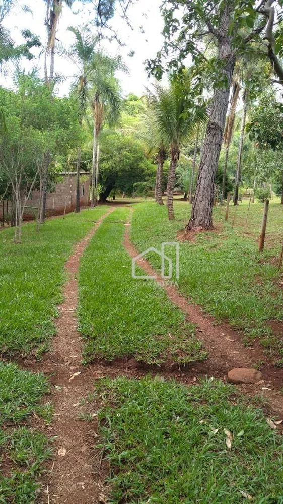 Fazenda, 25 hectares - Foto 18