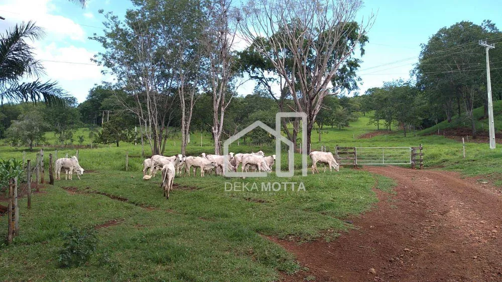 Fazenda, 25 hectares - Foto 17