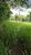 Fazenda, 25 hectares - Foto 2