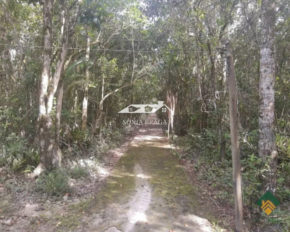 Casa, 4 quartos, 230 m² - Foto 13