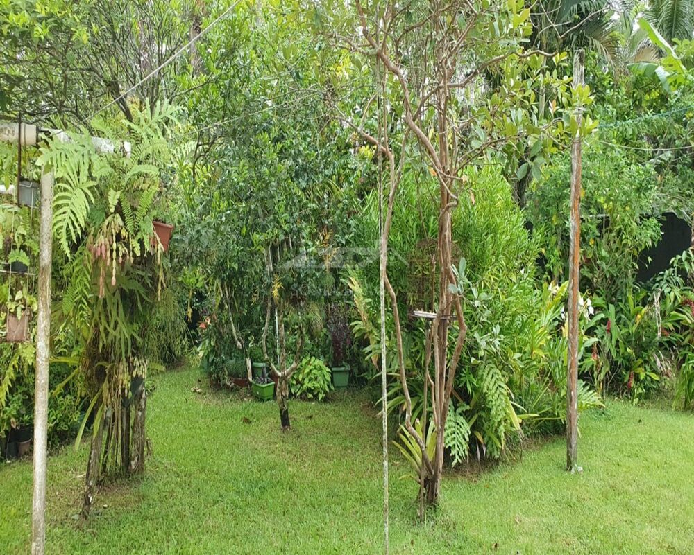 Casa, 4 quartos, 360 m² - Foto 4
