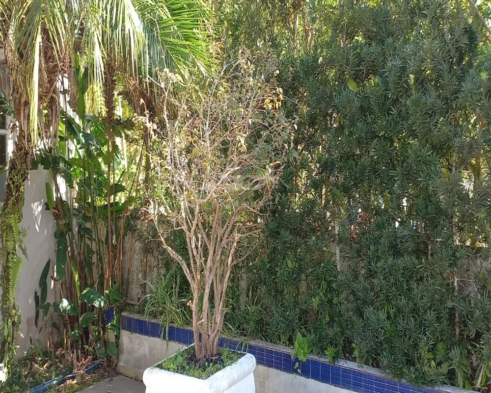 Casa, 4 quartos, 250 m² - Foto 4