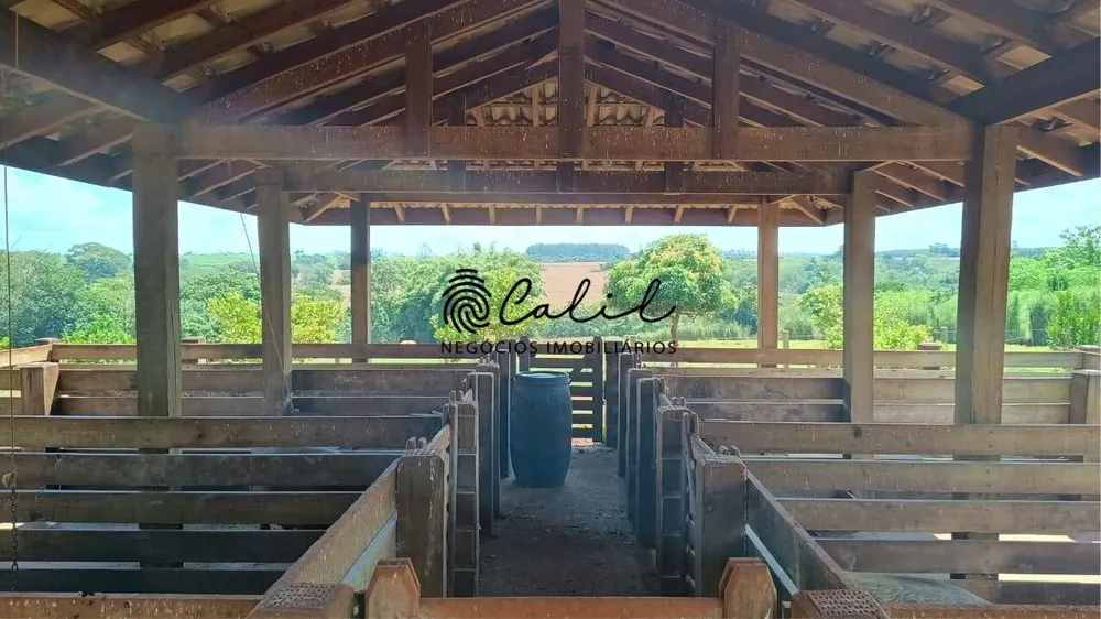 Sítio, 5 quartos, 4 hectares - Foto 7
