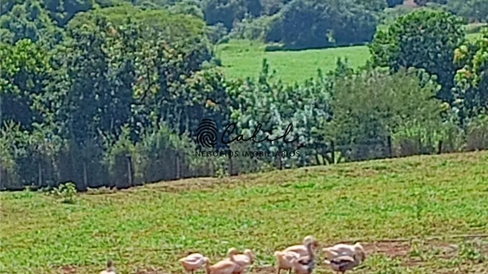 Sítio, 5 quartos, 4 hectares - Foto 19