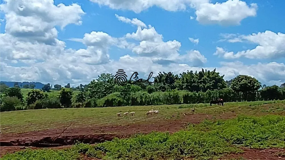 Sítio, 5 quartos, 4 hectares - Foto 3