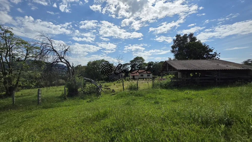 Fazenda, 58 hectares - Foto 4