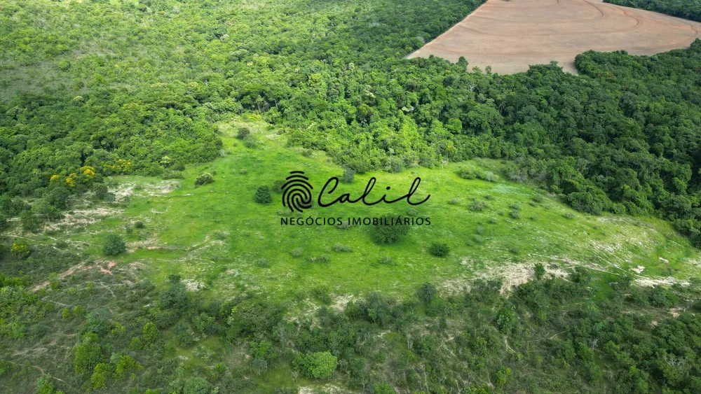 Fazenda, 58 hectares - Foto 12