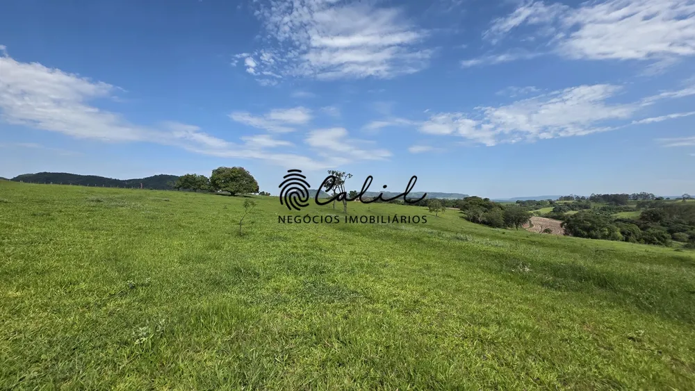 Fazenda, 58 hectares - Foto 3