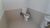 Sala-Conjunto, 25 m² - Foto 4