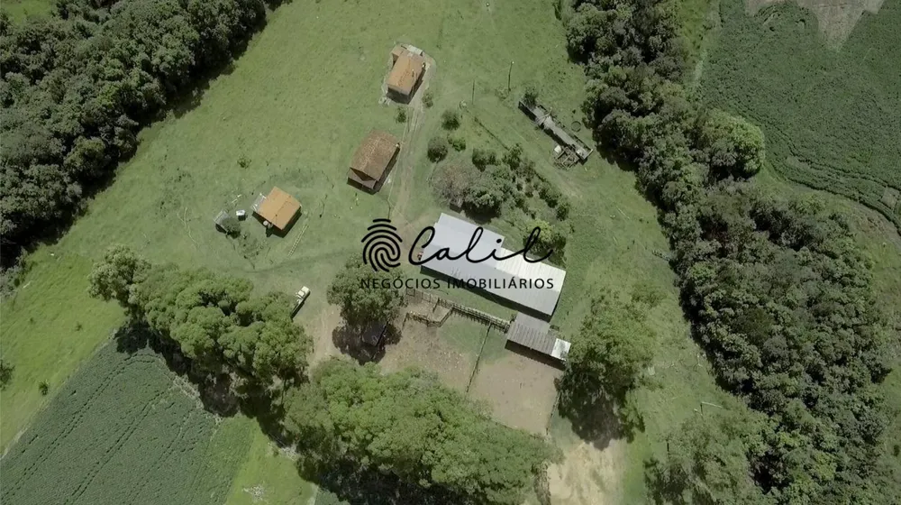 Fazenda, 1238 hectares - Foto 8
