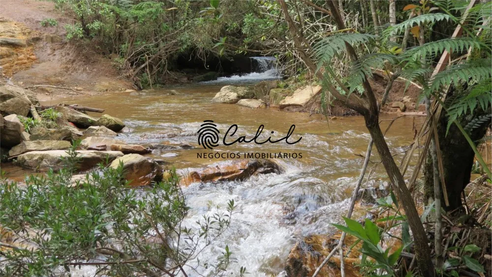 Fazenda, 1238 hectares - Foto 13