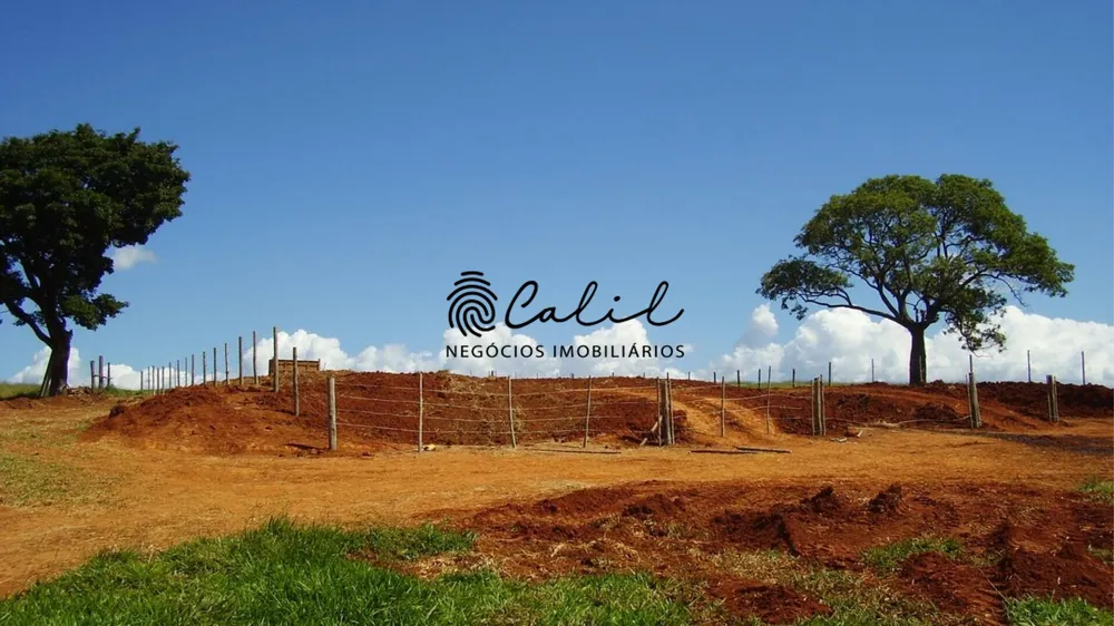 Fazenda, 1238 hectares - Foto 12