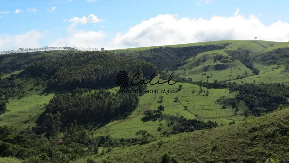 Fazenda, 1238 hectares - Foto 3