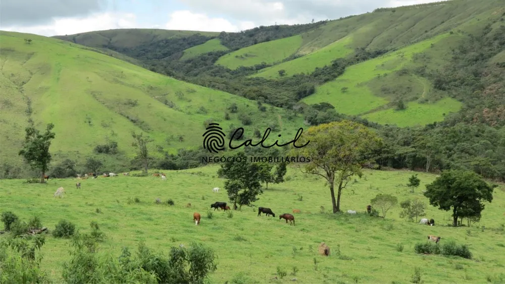Fazenda, 1238 hectares - Foto 7