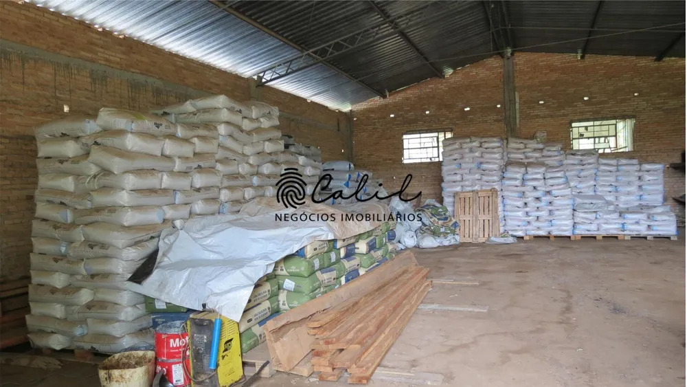 Fazenda, 1238 hectares - Foto 10