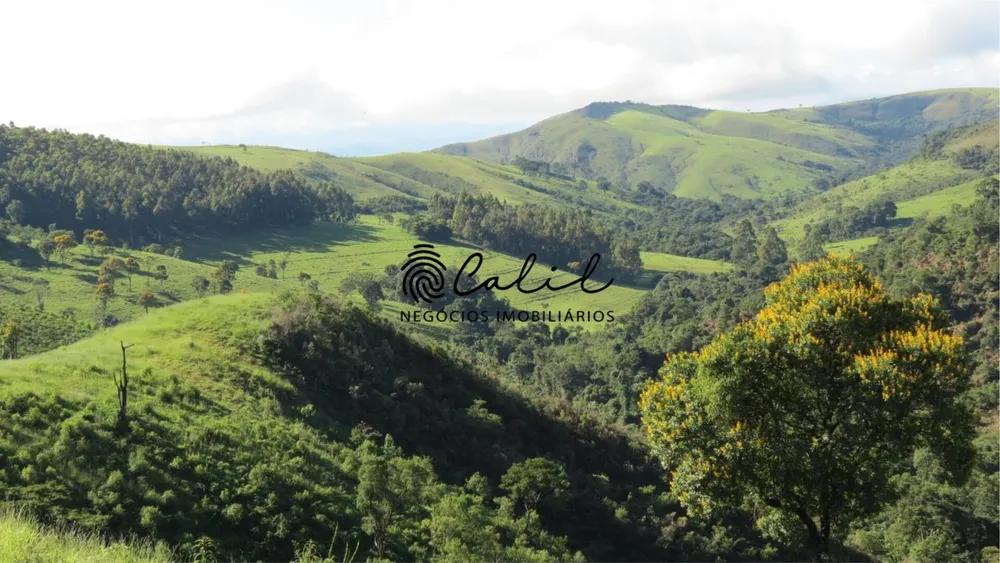 Fazenda, 1238 hectares - Foto 6