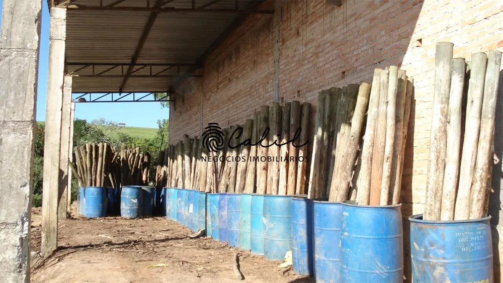 Fazenda, 1238 hectares - Foto 11