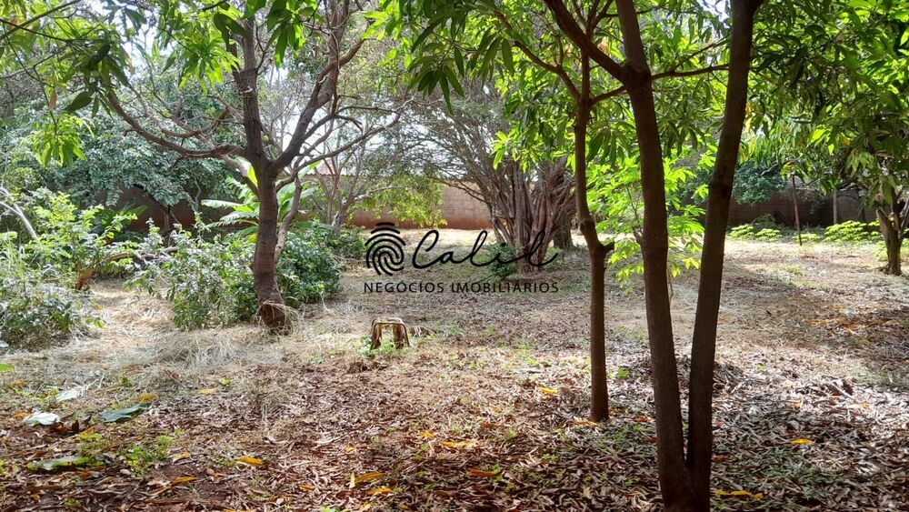 Terreno à venda, 7300m² - Foto 2