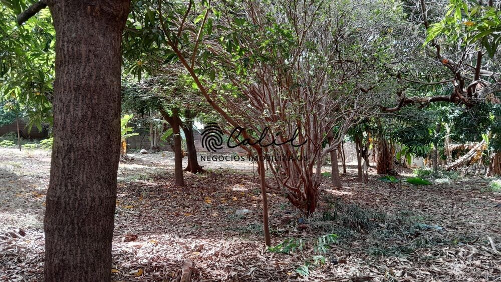 Terreno à venda, 7300m² - Foto 3