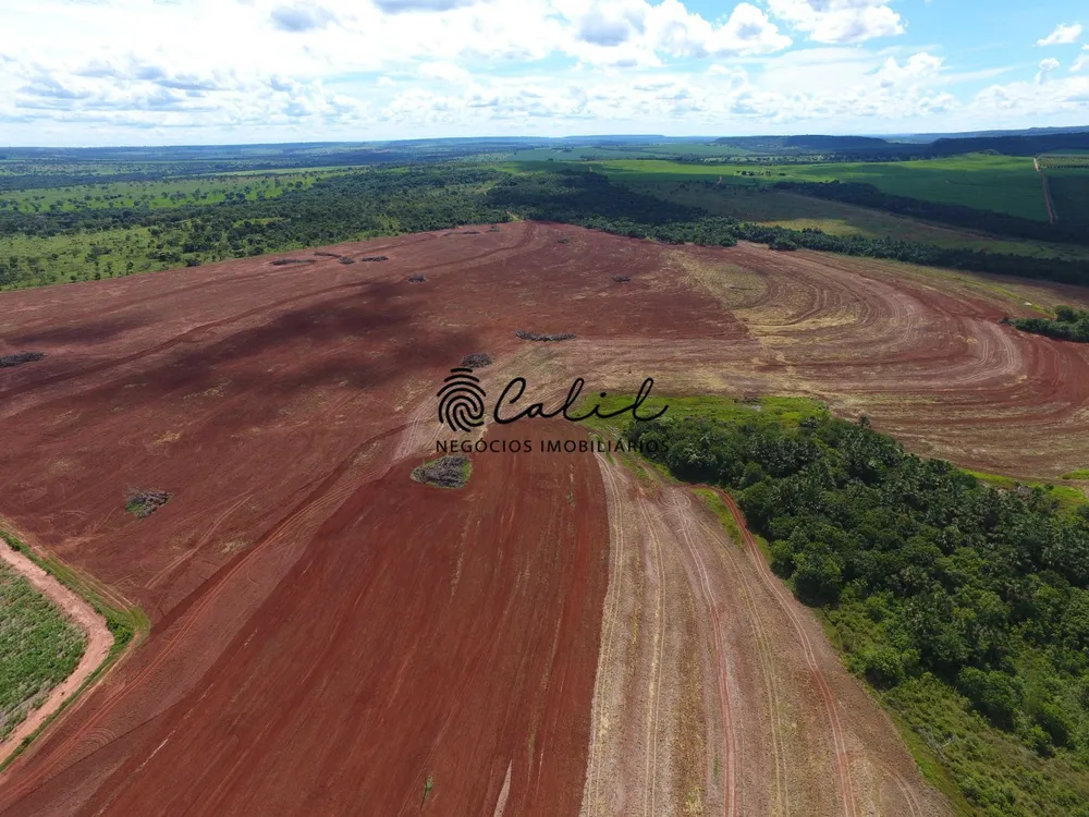 Fazenda, 271 hectares - Foto 3