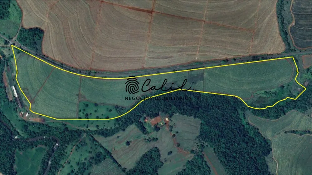 Fazenda, 132 hectares - Foto 7