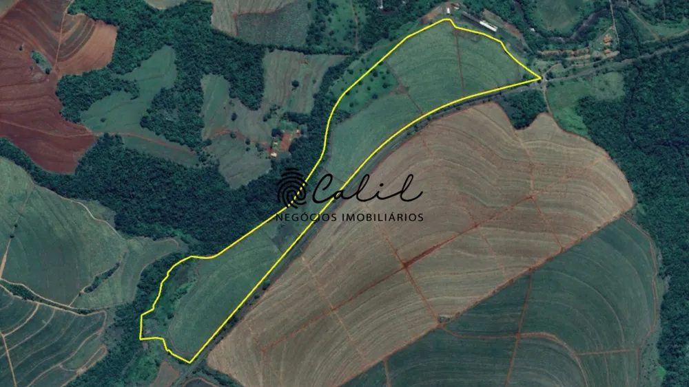 Fazenda, 132 hectares - Foto 4