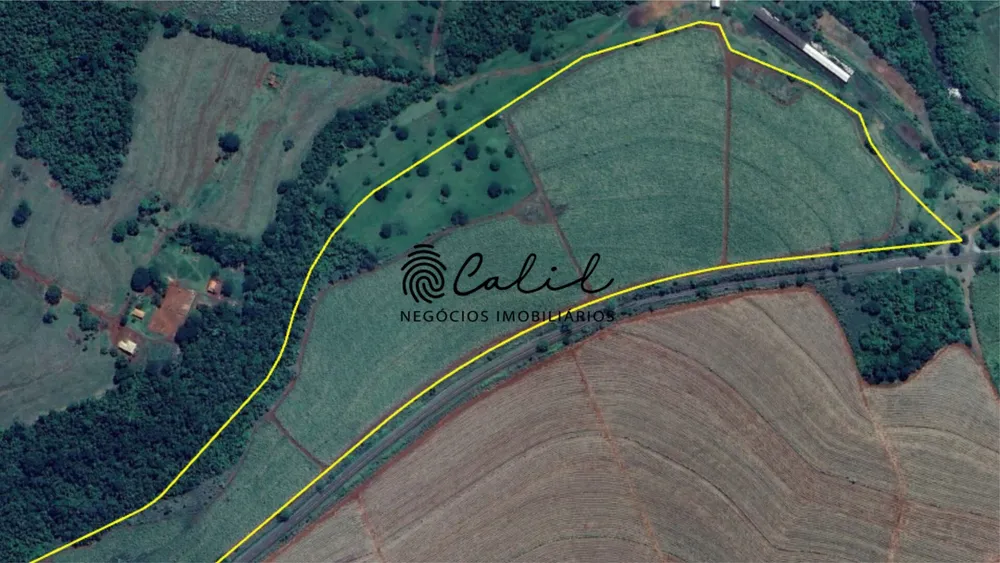 Fazenda, 132 hectares - Foto 6