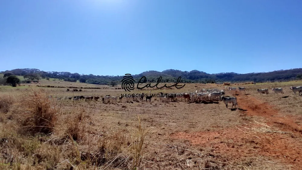 Sítio, 1 quarto, 86 hectares - Foto 7