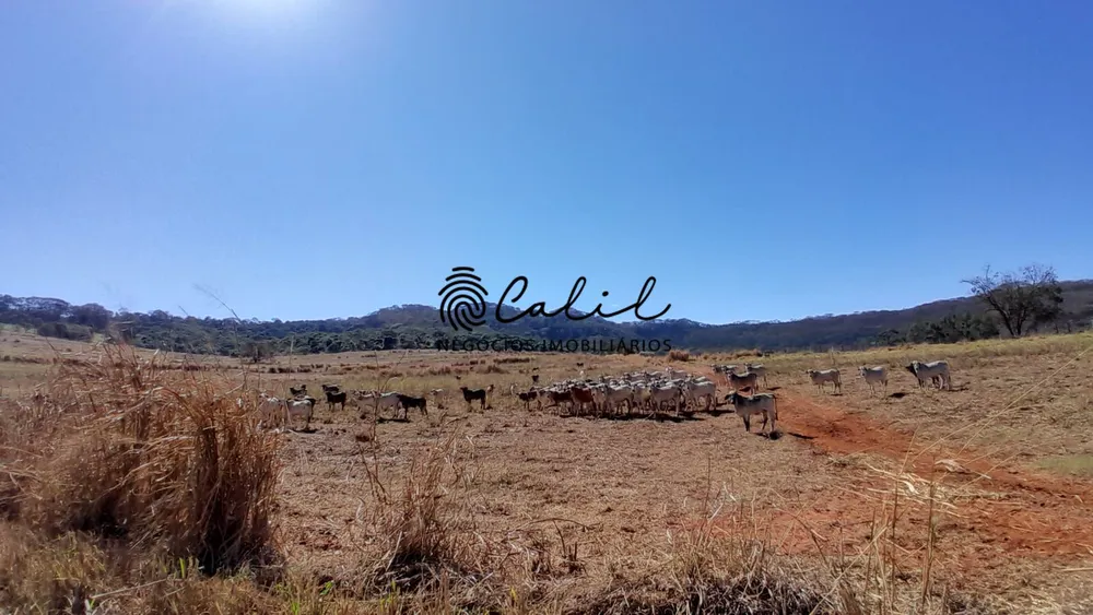 Sítio, 1 quarto, 86 hectares - Foto 6