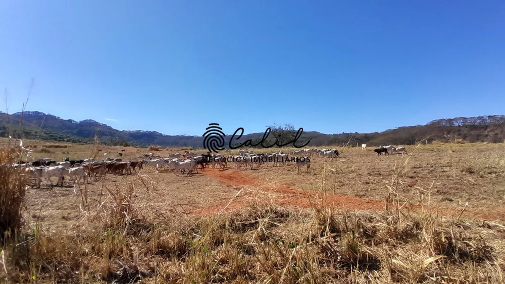 Sítio, 1 quarto, 86 hectares - Foto 10
