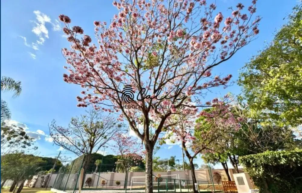 Terreno, 533 m² - Foto 3