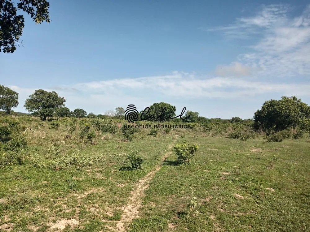 Fazenda, 312 hectares - Foto 4